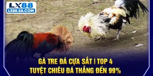 Gà Tre Đá Cựa Sắt | Top 4 Tuyệt Chiêu Đá Thắng Đến 99%