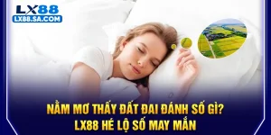 Nằm Mơ Thấy Đất Đai Đánh Số Gì? LX88 Hé Lộ Số May Mắn