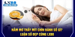 Nằm Mơ Thấy Mít Chín Đánh Số Gì? Luận Số Đẹp Cùng LX88